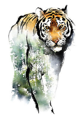 PSD 나무 동물 한마리 야생동물 일러스트 캘리그라피 붓터치 사람없음 컬러풀 자연보호 환경 그린캠페인 호랑이 보호 숲 에코 번짐 동물보호 멸종 위기 국내일러스트 멸종위기종 식물 1 캠페인 컬러 컨셉 포유류 자연 사회이슈 파일형식 효과