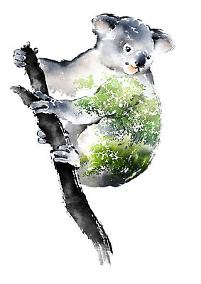 PSD 나무 동물 한마리 야생동물 일러스트 캘리그라피 붓터치 매달리기 사람없음 컬러풀 자연보호 환경 그린캠페인 보호 숲 에코 번짐 동물보호 멸종 코알라 위기 국내일러스트 멸종위기종 식물 1 캠페인 컬러 컨셉 포유류 모션 자연 사회이슈 파일형식 효과