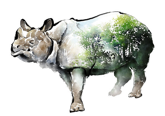 PSD 나무 동물 한마리 야생동물 일러스트 캘리그라피 붓터치 사람없음 컬러풀 자연보호 환경 그린캠페인 보호 숲 에코 번짐 동물보호 멸종 코뿔소 위기 국내일러스트 멸종위기종 식물 1 캠페인 컬러 컨셉 포유류 자연 사회이슈 파일형식 효과