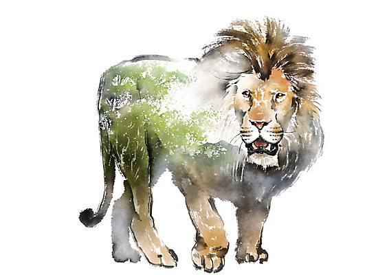 PSD 나무 동물 한마리 야생동물 일러스트 캘리그라피 붓터치 초원 사람없음 컬러풀 자연보호 환경 그린캠페인 보호 숲 사자 에코 번짐 동물보호 멸종 위기 국내일러스트 멸종위기종 식물 1 캠페인 컬러 컨셉 포유류 자연 사회이슈 파일형식 효과