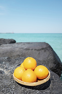 포토 JPG 주간 바다 여행 자연 하늘 해변 사람없음 야외 관광지 제주도 소쿠리 맑음 봄 오브젝트 특산물 현무암 청견 국내포토 자연요소 계절 과일 날씨 한국 바구니 생태계 화산암 파일형식