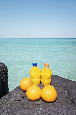 포토 JPG 주간 바다 여행 자연 하늘 해변 사람없음 야외 관광지 하이앵글 제주도 맑음 봄 과일주스 돌하르방 오브젝트 특산물 현무암 청견 국내포토 자연요소 계절 뷰포인트 과일 날씨 한국 주스 생태계 화산암 파일형식