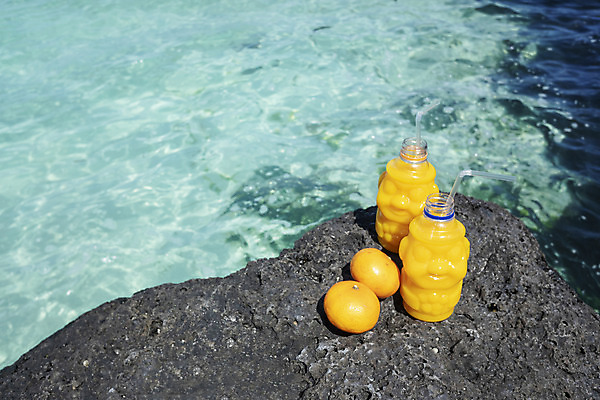 포토 JPG 주간 바다 여행 자연 빨대 해변 사람없음 야외 관광지 하이앵글 제주도 맑음 봄 과일주스 돌하르방 오브젝트 현무암 천혜향 국내포토 자연요소 계절 뷰포인트 과일 날씨 한국 주스 생태계 화산암 파일형식