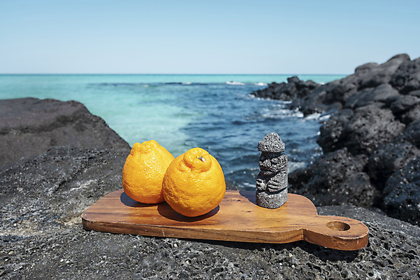 포토 JPG 주간 바다 여행 자연 해변 사람없음 야외 관광지 제주도 맑음 봄 돌하르방 오브젝트 특산물 한라봉 나무도마 현무암 국내포토 자연요소 계절 과일 날씨 도마 한국 목재 생태계 화산암 파일형식