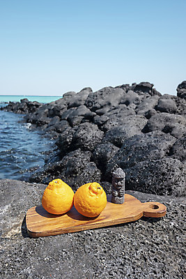 포토 JPG 주간 바다 여행 자연 해변 사람없음 야외 관광지 제주도 맑음 봄 돌하르방 오브젝트 특산물 한라봉 나무도마 현무암 국내포토 자연요소 계절 과일 날씨 도마 한국 목재 생태계 화산암 파일형식