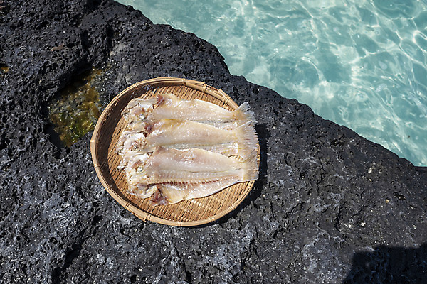 포토 JPG 주간 바다 여행 자연 해변 사람없음 야외 관광지 하이앵글 제주도 소쿠리 맑음 봄 오브젝트 특산물 옥돔 현무암 향토음식 국내포토 자연요소 계절 음식 뷰포인트 날씨 한국 어류 바구니 생태계 화산암 파일형식