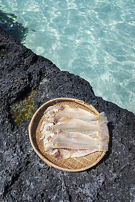 포토 JPG 주간 바다 여행 자연 해변 사람없음 야외 관광지 하이앵글 제주도 소쿠리 맑음 봄 오브젝트 특산물 옥돔 현무암 향토음식 국내포토 자연요소 계절 음식 뷰포인트 날씨 한국 어류 바구니 생태계 화산암 파일형식