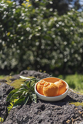 포토 JPG 주간 그릇 여행 잎 자연 사람없음 야외 아웃포커스 관광지 하이앵글 제주도 농장 맑음 봄 오브젝트 특산물 한라봉 현무암 국내포토 자연요소 식물 식기 계절 뷰포인트 농업 과일 날씨 한국 촬영기법 생태계 화산암 파일형식