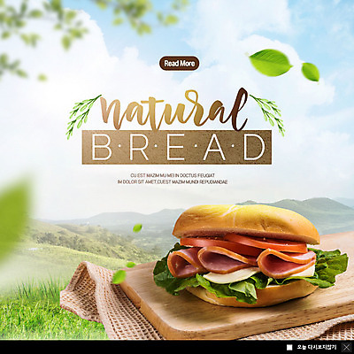 PSD 템플릿 ZIP 빵 웹템플릿 잎 자연 나뭇잎 도마 팝업 이벤트팝업 웹팝업 샌드위치 이벤트 사람없음 초록색 식탁보 유기농 빅팝업 이미지템플릿 식물 웰빙 음식 컬러 주방용품 생태계 파일형식