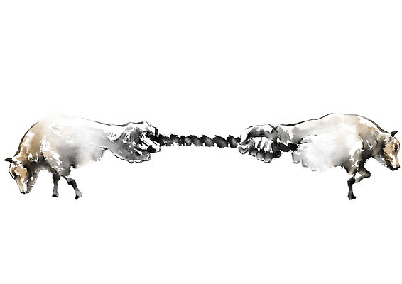 PSD 동물 손 상징 두마리 일러스트 캘리그라피 붓터치 흑백 신체부위 노란색 힘 경쟁 소 번짐 줄다리기 승부 국내일러스트 컬러 컨셉 2 포유류 놀이 촬영기법 사람 파일형식 효과