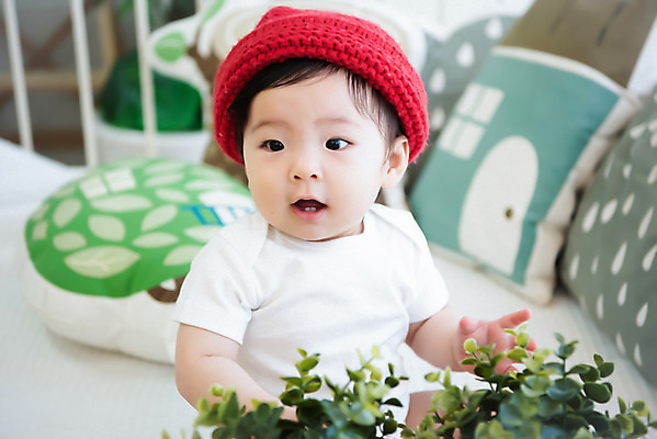 포토 JPG 스튜디오촬영 식물 모자 응시 여자 실내 한명 앉기 근접촬영 상반신 앞모습 귀여움 놀람 한국인 성장 아기 보호 즐거움 여자아기한명만 국내포토 1 시선 잡화 감정 뷰포인트 컨셉 모션 표정 사람 동양인 내부 여자한명만 여자아기만 파일형식