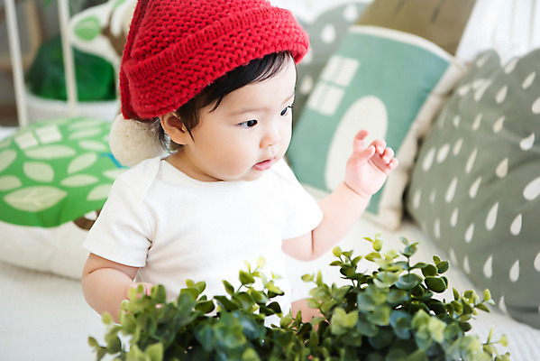 포토 JPG 스튜디오촬영 식물 모자 응시 여자 실내 한명 앉기 근접촬영 상반신 앞모습 귀여움 한국인 성장 아기 보호 즐거움 여자아기한명만 국내포토 1 시선 잡화 감정 뷰포인트 컨셉 모션 사람 동양인 내부 여자한명만 여자아기만 파일형식