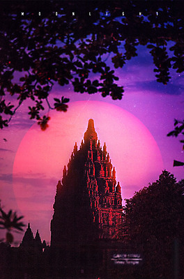 PSD 나무 편집 편집이미지 야경 유적지 사람없음 야외 컬러풀 일몰 달 사찰 화려 숲 신비 네온 네온아트 이미지편집 자연요소 식물 컬러 컨셉 고건축 종교건축 노을 야간 파일형식 풍경_경치