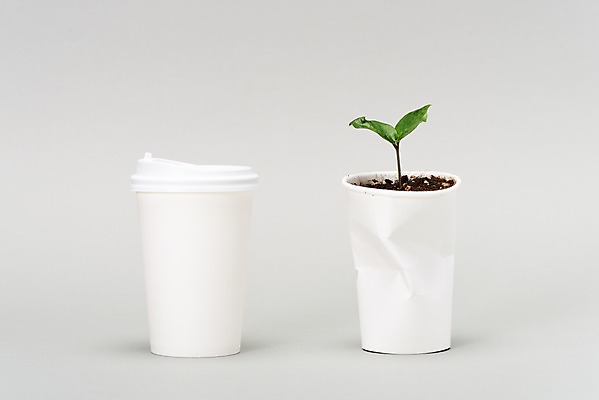 포토 JPG 스튜디오촬영 식물 캠페인 실내 사람없음 새싹 자연보호 환경 그린캠페인 흙 재활용 두개 흰색 환경오염 오염 종이컵 일회용 오브젝트 흰배경 분리수거 테이크아웃컵 업사이클링 제로웨이스트 국내포토 컬러 백그라운드 컨셉 2 자연 내부 컵 보호 사회이슈 친환경 파일형식