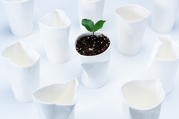 포토 JPG 스튜디오촬영 캠페인 실내 사람없음 새싹 자연보호 환경 그린캠페인 여러개 흙 재활용 환경오염 오염 종이컵 오브젝트 업사이클링 제로웨이스트 국내포토 식물 다수 컨셉 자연 내부 컵 보호 일회용 사회이슈 친환경 파일형식