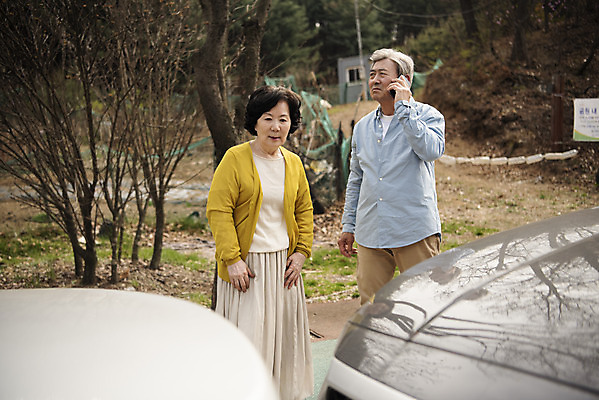 포토 JPG 주간 여자 할아버지 노년 남자 도로 할머니 자동차 상반신 야외 두명 앞모습 스마트폰 노부부 운전 한국인 60대 위험 충돌 교통사고 불안 사회이슈 70대 통화 보험 고령화 사고현장 자동차보험 접촉사고 졸음운전 차사고 노인만 국내포토 자연요소 부부 감정 길 육상교통 뷰포인트 컨셉 교통시설 모션 사람 동양인 성인 핸드폰 스마트기기 사건 성인만 파일형식