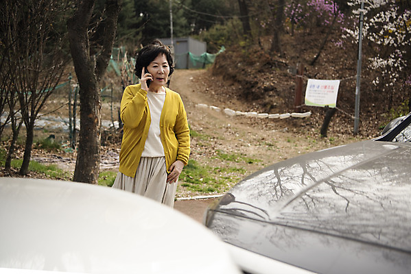포토 JPG 주간 여자 노년 도로 자동차 한명 상반신 야외 앞모습 스마트폰 운전 한국인 60대 위험 충돌 교통사고 불안 사회이슈 통화 보험 사고예방 사고현장 자동차보험 접촉사고 졸음운전 차사고 노인여자한명만 국내포토 자연요소 1 감정 길 육상교통 뷰포인트 컨셉 교통시설 모션 사람 동양인 성인 핸드폰 스마트기기 사건 예방 여자한명만 노인여자만 파일형식