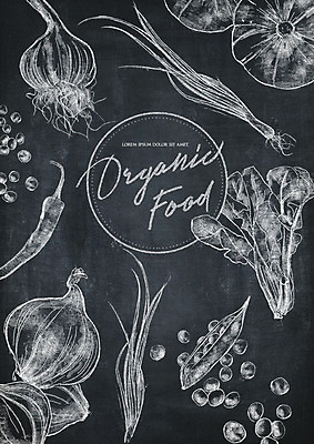 PSD 영어 채소 일러스트 고추 호박 양파 콩 마늘 타이포그라피 사람없음 칠판 초크 유기농 초크일러스트 초크아트 파 드로잉 시금치 국내일러스트 문자 웰빙 곡류 미술 그림 파일형식