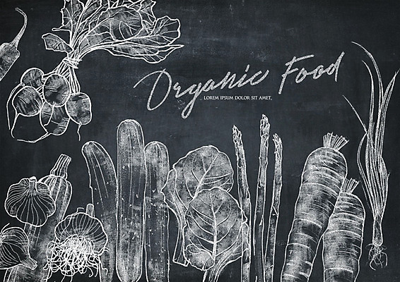 PSD 영어 채소 일러스트 고추 호박 오이 마늘 타이포그라피 사람없음 칠판 당근 무 초크 유기농 아스파라거스 초크일러스트 초크아트 파 드로잉 국내일러스트 문자 웰빙 뿌리채소 미술 그림 파일형식