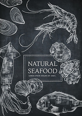 PSD 영어 일러스트 새우 어류 타이포그라피 사람없음 칠판 소라 해산물 오징어 초크 홍합 초크일러스트 초크아트 가리비 드로잉 국내일러스트 문자 조개 어패류 연체동물 갑각류 미술 수중동물 그림 파일형식