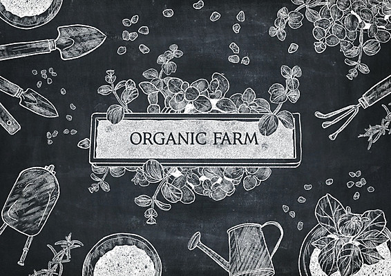 PSD 식물 영어 화분 일러스트 타이포그라피 사람없음 칠판 물뿌리개 삽 초크 원예 초크일러스트 초크아트 드로잉 원예용품 국내일러스트 문자 생활용품 미술 취미 그림 파일형식