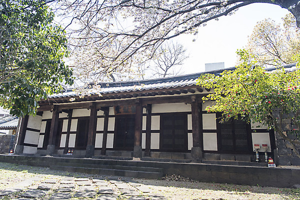 포토 JPG 주간 나무 여행 유적지 하늘 한국 풍경 사람없음 야외 관광지 제주도 맑음 봄 문화재 사적 제주도여행 향사당 국내포토 자연요소 식물 계절 아시아 고건축 날씨 누각 파일형식