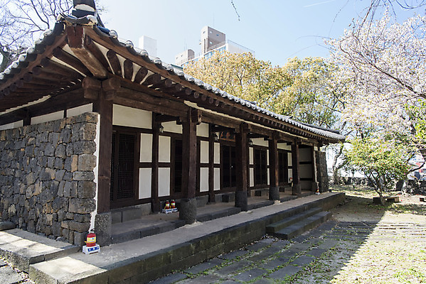 포토 JPG 주간 나무 여행 유적지 한국 풍경 사람없음 야외 관광지 제주도 맑음 봄 문화재 사적 제주도여행 향사당 국내포토 자연요소 식물 계절 아시아 고건축 날씨 누각 파일형식