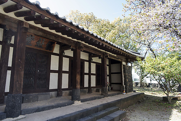포토 JPG 주간 나무 여행 유적지 한국 풍경 사람없음 야외 관광지 제주도 맑음 봄 문화재 사적 제주도여행 향사당 국내포토 자연요소 식물 계절 아시아 고건축 날씨 누각 파일형식
