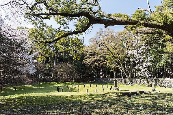 포토 JPG 주간 나무 여행 유적지 한국 풍경 사람없음 야외 관광지 제주도 맑음 봄 문화재 사적 삼성혈 제주도여행 국내포토 자연요소 식물 계절 아시아 고건축 날씨 파일형식
