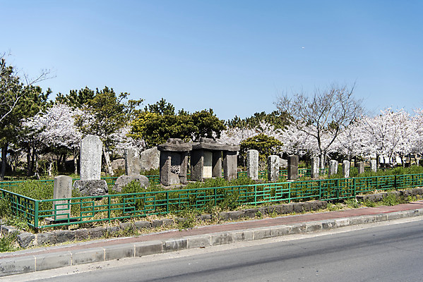 포토 JPG 주간 나무 여행 유적지 하늘 한국 풍경 사람없음 야외 관광지 제주도 맑음 봄 문화재 비석 제주도여행 공적비 화북비석거리 국내포토 자연요소 식물 계절 아시아 고건축 날씨 파일형식