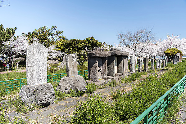 포토 JPG 주간 나무 여행 유적지 하늘 한국 풍경 사람없음 야외 관광지 제주도 맑음 봄 문화재 비석 제주도여행 공적비 화북비석거리 국내포토 자연요소 식물 계절 아시아 고건축 날씨 파일형식
