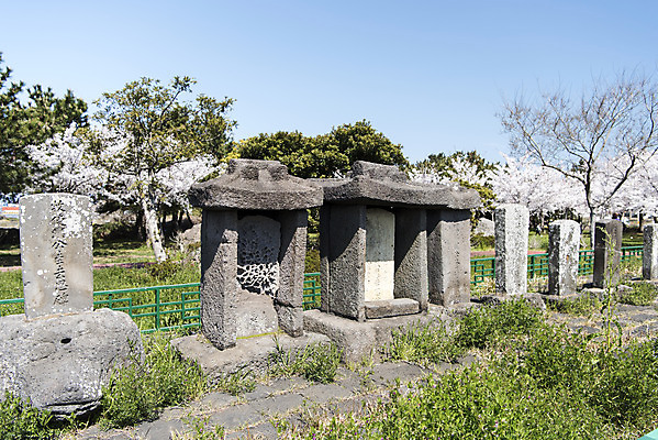 포토 JPG 주간 나무 여행 유적지 하늘 한국 풍경 사람없음 야외 관광지 제주도 맑음 봄 문화재 비석 제주도여행 공적비 화북비석거리 국내포토 자연요소 식물 계절 아시아 고건축 날씨 파일형식