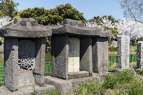 포토 JPG 주간 나무 여행 유적지 한국 풍경 사람없음 야외 관광지 제주도 맑음 봄 문화재 비석 제주도여행 공적비 화북비석거리 국내포토 자연요소 식물 계절 아시아 고건축 날씨 파일형식
