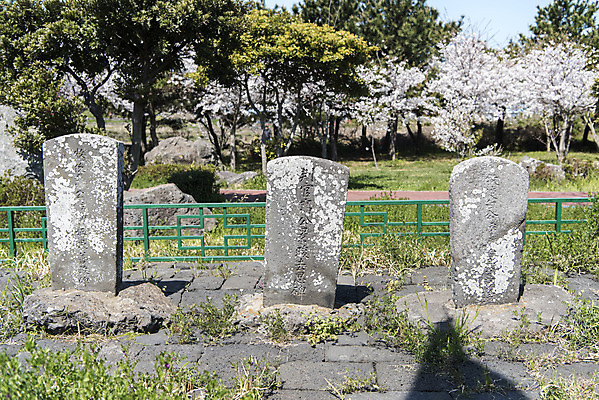 포토 JPG 주간 나무 여행 유적지 한국 풍경 사람없음 야외 관광지 제주도 맑음 봄 문화재 비석 제주도여행 공적비 화북비석거리 국내포토 자연요소 식물 계절 아시아 고건축 날씨 파일형식