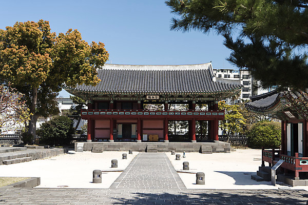 포토 JPG 주간 나무 여행 유적지 한국 풍경 사람없음 야외 관광지 제주도 맑음 봄 문화재 사적 제주도여행 제주목관아 국내포토 자연요소 식물 계절 아시아 고건축 날씨 파일형식