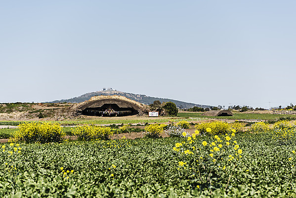 포토 JPG 주간 여행 유적지 한국 풍경 사람없음 야외 관광지 제주도 맑음 봄 문화재 유채 격납고 유채밭 제주도여행 알뜨르비행장 다크투어리즘 43유적지 국내포토 자연요소 계절 꽃 아시아 고건축 밭 날씨 서귀포 파일형식