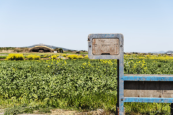 포토 JPG 주간 여행 유적지 한국 풍경 사람없음 야외 관광지 제주도 맑음 봄 문화재 유채 격납고 유채밭 제주도여행 간세 알뜨르비행장 다크투어리즘 43유적지 국내포토 자연요소 계절 꽃 아시아 고건축 밭 날씨 서귀포 파일형식