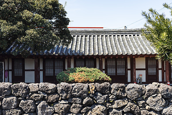 포토 JPG 주간 나무 여행 유적지 한국 돌담 풍경 사람없음 야외 관광지 제주도 맑음 봄 문화재 제주도여행 신촌향사 국내포토 자연요소 식물 계절 아시아 고건축 날씨 담장 돌_바위 파일형식