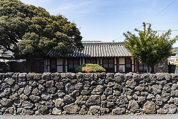 포토 JPG 주간 나무 여행 유적지 하늘 한국 돌담 풍경 사람없음 야외 관광지 제주도 맑음 봄 문화재 제주도여행 신촌향사 국내포토 자연요소 식물 계절 아시아 고건축 날씨 담장 돌_바위 파일형식