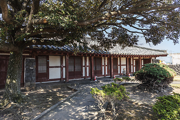 포토 JPG 주간 나무 여행 유적지 한국 풍경 사람없음 야외 관광지 제주도 맑음 봄 문화재 제주도여행 신촌향사 국내포토 자연요소 식물 계절 아시아 고건축 날씨 파일형식