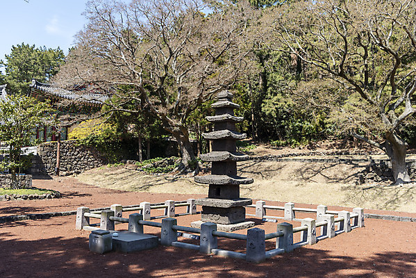 포토 JPG 주간 나무 여행 유적지 한국 풍경 사람없음 야외 관광지 제주도 맑음 봄 문화재 석탑 제주도여행 불탑사 불탑사오층석탑 국내포토 자연요소 식물 계절 아시아 고건축 날씨 탑 사찰 파일형식