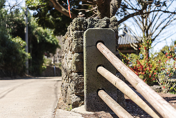 포토 JPG 주간 나무 여행 유적지 한국 풍경 사람없음 야외 관광지 제주도 맑음 봄 문화재 정낭 제주도여행 불탑사 국내포토 자연요소 식물 계절 아시아 고건축 날씨 사찰 대문 파일형식