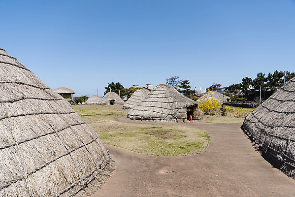 포토 JPG 주간 여행 유적지 한국 풍경 사람없음 야외 관광지 제주도 맑음 봄 문화재 선사시대 선사유적지 움집 제주도여행 국내포토 자연요소 계절 아시아 고건축 날씨 역사 파일형식