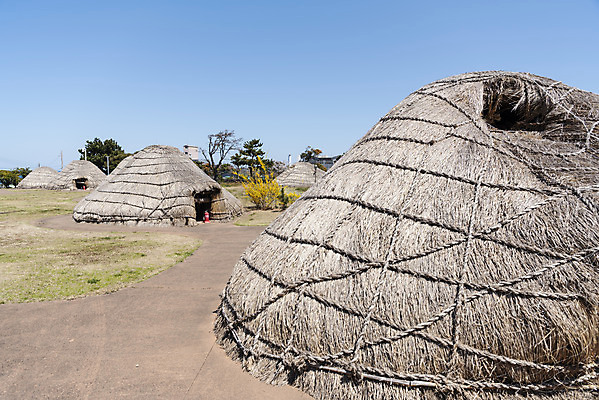 포토 JPG 주간 여행 유적지 한국 풍경 사람없음 야외 관광지 제주도 맑음 봄 문화재 선사시대 선사유적지 움집 제주도여행 국내포토 자연요소 계절 아시아 고건축 날씨 역사 파일형식