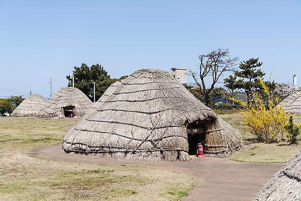 포토 JPG 주간 여행 유적지 한국 풍경 사람없음 야외 관광지 제주도 맑음 봄 문화재 선사시대 선사유적지 움집 제주도여행 국내포토 자연요소 계절 아시아 고건축 날씨 역사 파일형식