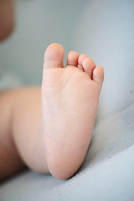 포토 JPG 스튜디오촬영 남자 발 휴식 실내 한명 근접촬영 신체부위 평화 귀여움 육아 성장 다리 아기 발바닥 발가락 돌봄 천진난만 남자아기한명만 국내포토 1 뷰포인트 컨셉 모션 사람 내부 남자한명만 남자아기만 파일형식