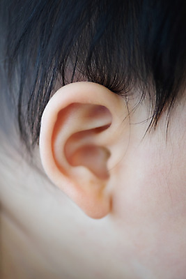 포토 JPG 스튜디오촬영 남자 얼굴 휴식 실내 한명 근접촬영 옆모습 신체부위 평화 귀여움 육아 성장 아기 귀 돌봄 천진난만 남자아기한명만 국내포토 1 뷰포인트 컨셉 모션 사람 내부 남자한명만 남자아기만 파일형식