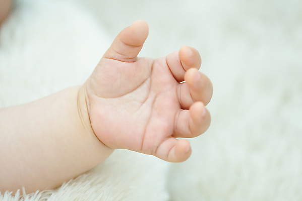 포토 JPG 스튜디오촬영 손 남자 휴식 한손 실내 한명 근접촬영 신체부위 평화 귀여움 주먹 육아 성장 아기 돌봄 천진난만 남자아기한명만 국내포토 1 뷰포인트 컨셉 모션 사람 내부 남자한명만 남자아기만 파일형식