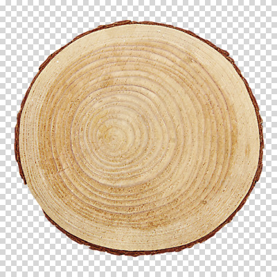 나무 편집이미지 백그라운드 패턴 표면 근접촬영 사람없음 목재 질감 나무토막 나이테 PNG 플랫레이 편집소스 식물 뷰포인트 무늬 재료 플랫 파일형식