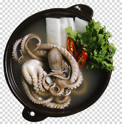 편집이미지 한식 음식 고추 사람없음 하이앵글 무 뚝배기 소금 낙지 PNG 낙지전골 연포탕 편집소스 뷰포인트 채소 연체동물 뿌리채소 수중동물 탕 전골 파일형식